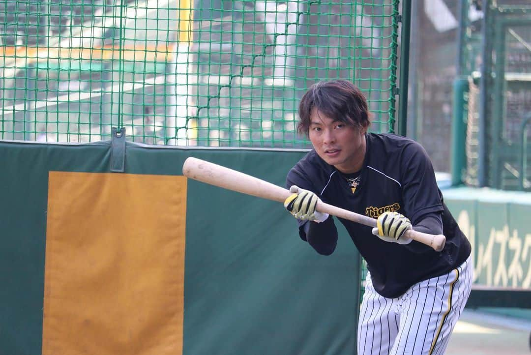 阪神タイガースのインスタグラム