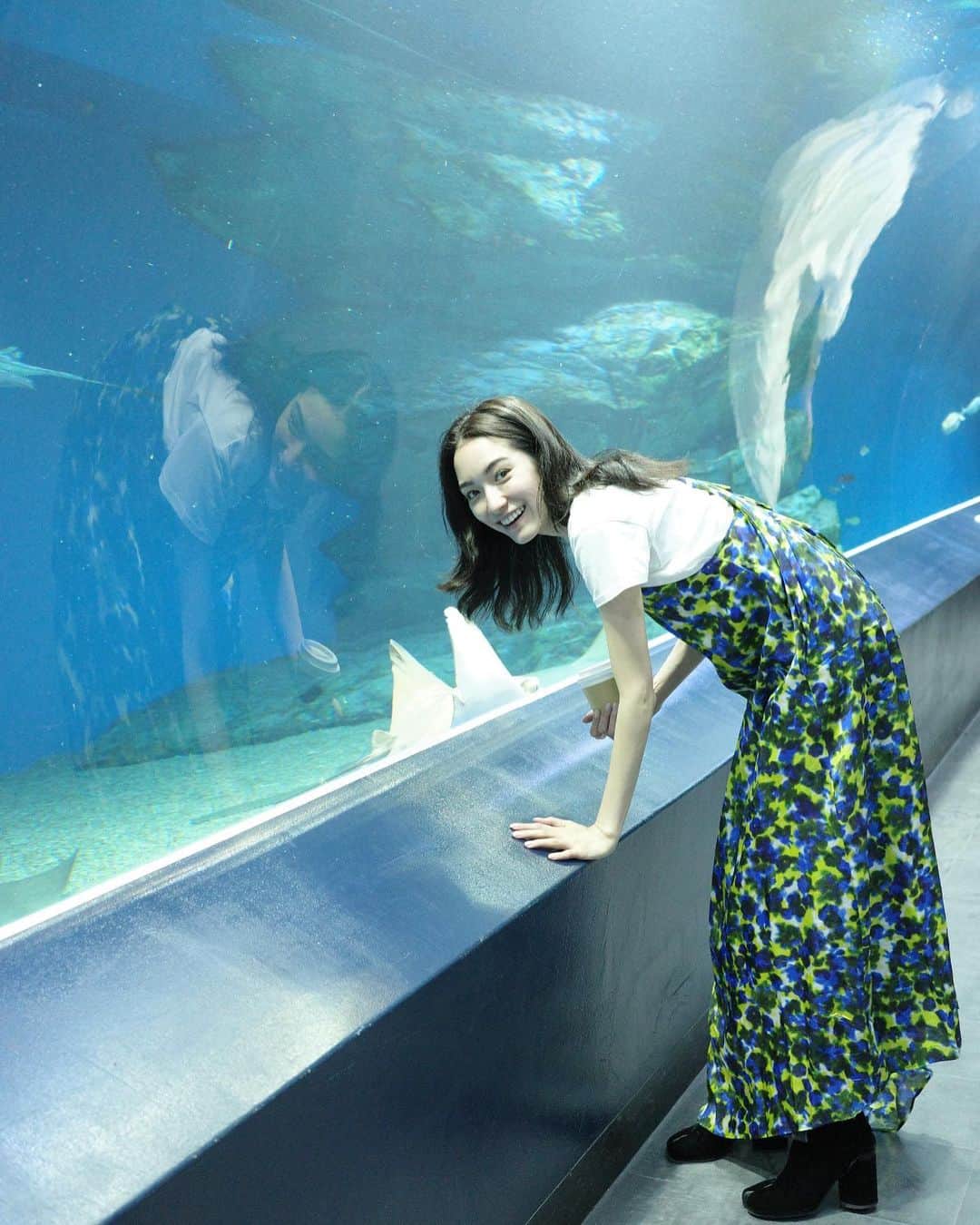 吉田沙世のインスタグラム：「🐬✧🐠✧🦭  #aquarium」
