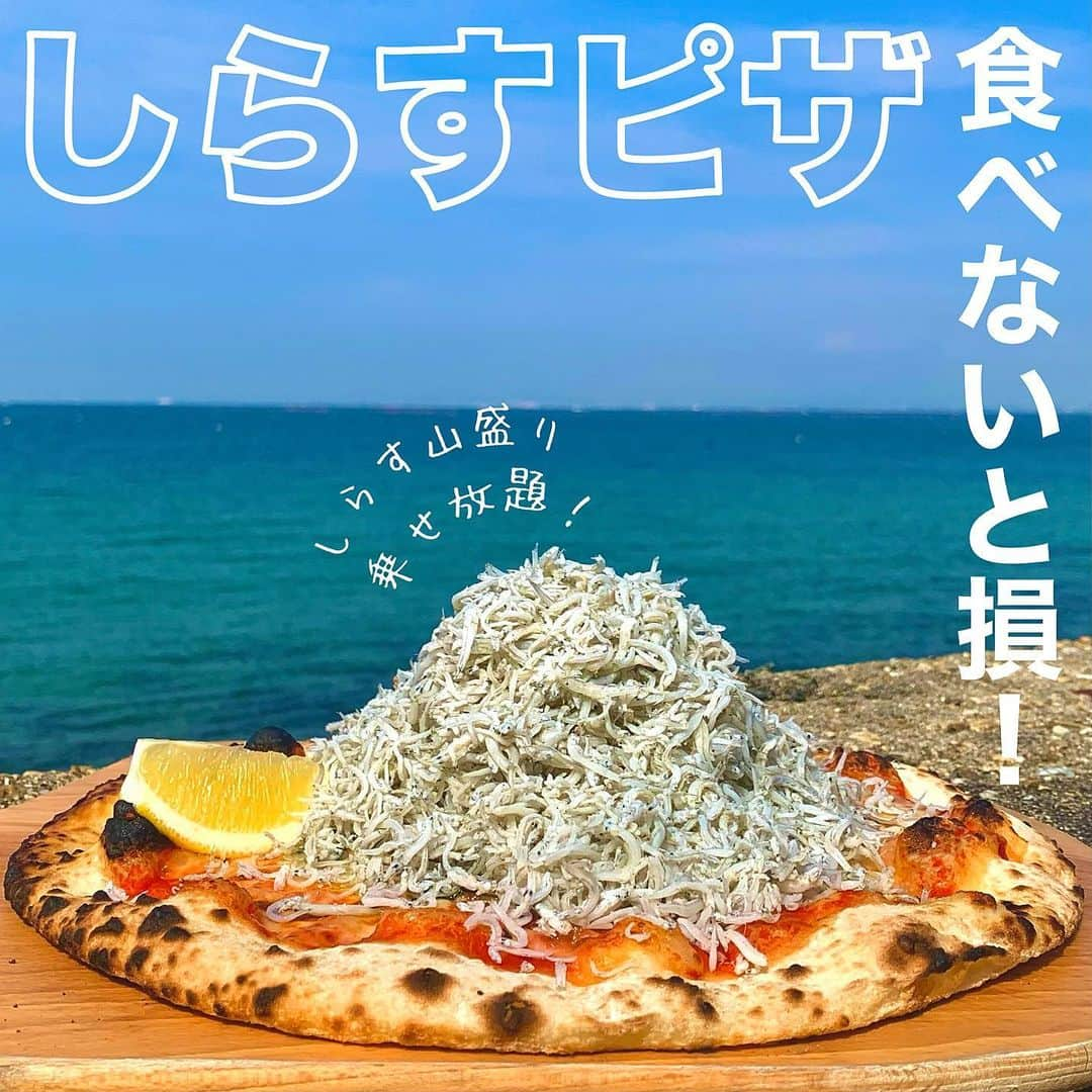 ミエレさんのインスタグラム写真 - (ミエレInstagram)「当店人気No. 1ピッツァ🍕🐟✨ 『淡路島産しらすピッツァ』2,100yen(税込)  ダントツで大人気のこちらのピザは、なんと目の前でしらすが乗せ放題！！ お客様が「ストップ！」を言うまで、スタッフはしらすを乗せ続けます🤩  たっぷり乗せて、淡路島の栄養豊富な新鮮なしらすをご堪能くださいませ😳🧡  皆さまのご来店心よりお待ちしております♪ (※しらすボール一杯までを規定量とさせていただいてます。)  #miele #ミエレ #淡路島西海岸 #awajiwestcoast #淡路島 #淡路島旅行 #おしゃれカフェ #はちみつ #はちみつカフェ #淡路島カフェ  #海が見えるカフェ #淡路島ランチ #淡路島グルメ #淡路島デート #淡路島ディナー #淡路島サイクリング #淡路島カフェ巡り #カップルスポット #海カフェ #海沿いカフェ #カフェ巡り #スイーツ #淡路島スイーツ #しらすピザ #しらすピッツァ #pizza #兵庫カフェ.」6月2日 18時22分 - miele_awaji