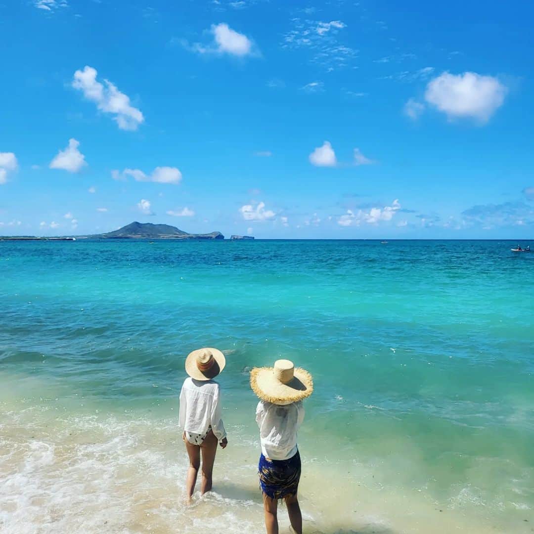 チョン・ヘビンのインスタグラム：「거북이!!!거북이!!!!  🐢 🌴 ⛱ 야생 바다거북이를 보면 행운이 온대요 🍀」