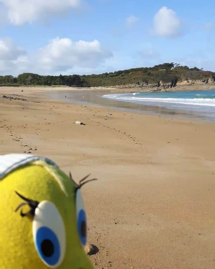 Little Yellow Birdのインスタグラム