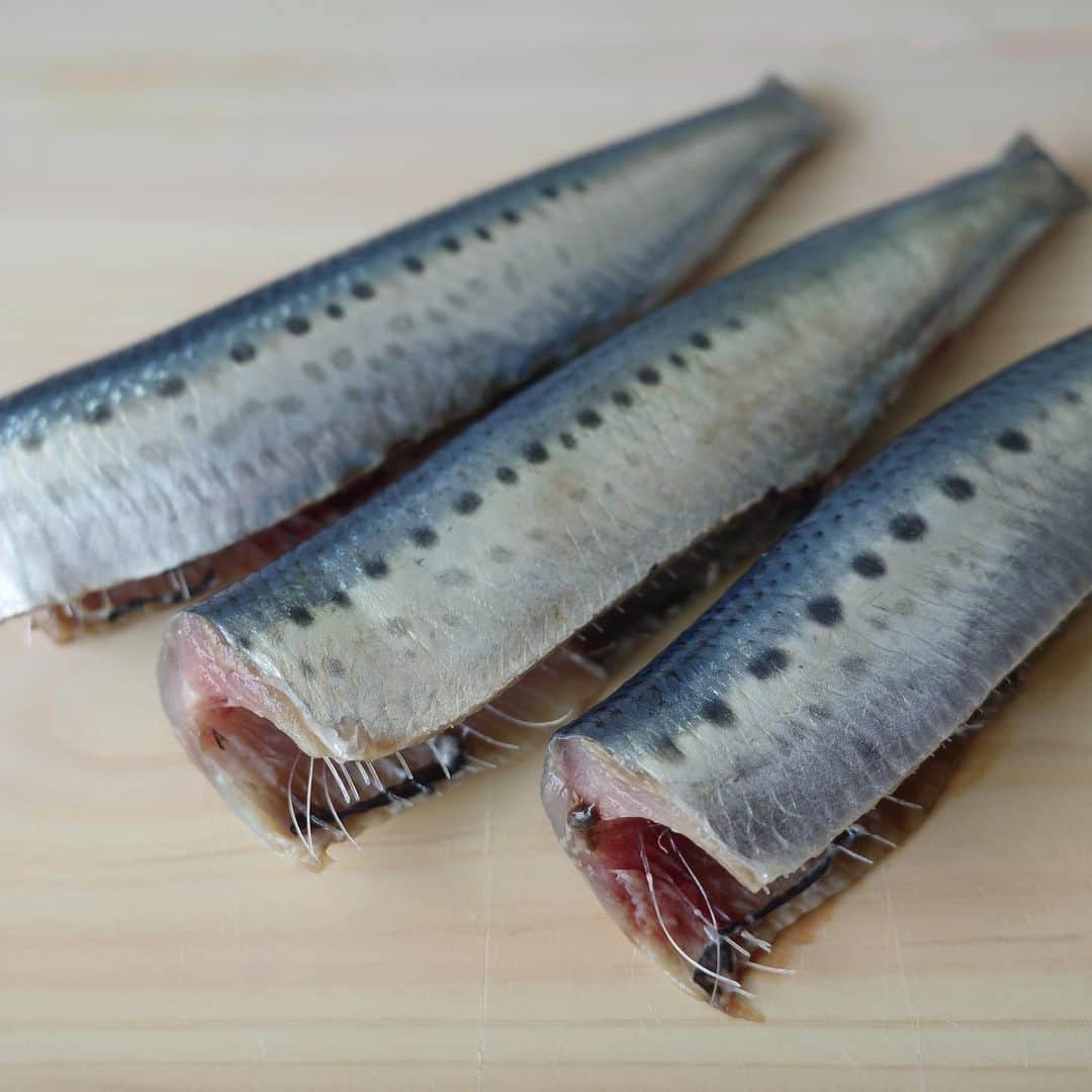 高垣麗子さんのインスタグラム写真 - (高垣麗子Instagram)「* 鳥取県から我が家へようこそ  骨も好きだよ、鰯さん𓂃❤︎  * #fish #sardine #鰯」6月3日 9時41分 - reikotakagaki