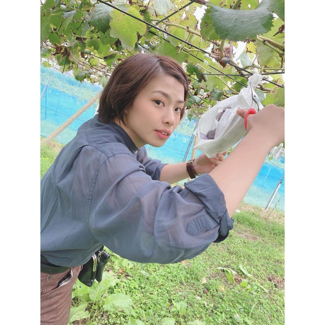 小池杏菜さんのインスタグラム写真 - (小池杏菜Instagram)「6/3はかなこさんのお誕生日‼︎ 28歳になられました。 リヴァ子に沢山ゆわれてたので もう言いません。笑  かなこさんの写真を厳選しました。いつもふざけてるけど、 可愛い写真も沢山ありました。 私のお気に入りたちです‼︎ 最後は、分かる人にはわかる。  いつもいつもありがとうございます‼︎ 良い1年にしましょう🫶🏻  写真使わせていただきました。」6月3日 21時02分 - ancoromochi1216