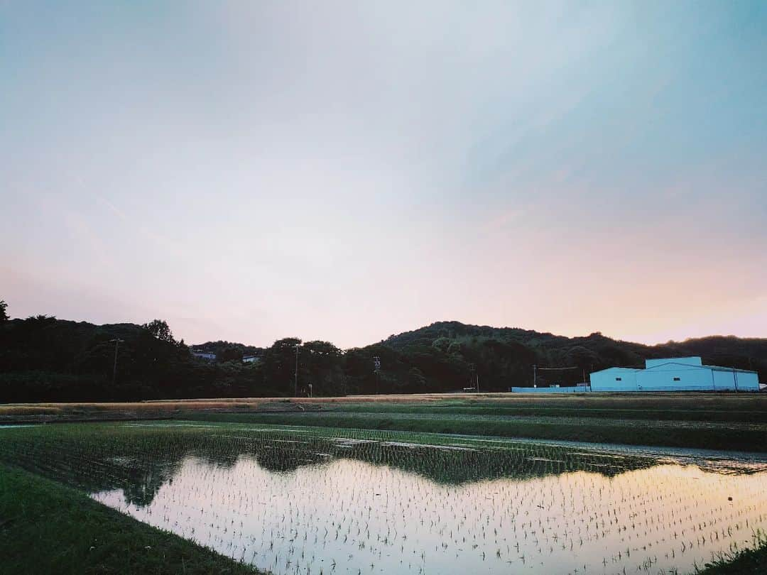 安田さちさんのインスタグラム写真 - (安田さちInstagram)「私が育った街。  「田舎は嫌い」とずっと思ってきたけど歳を重ねるにつれ故郷の良さを実感します😌  娘たちにとっても、田舎で育つ方が幸せだったかなぁなんて思う日も。  都会には都会の良さがあるし、いま住んでいる街も好きだけどね☺️  #故郷の風景 #愛知県豊川市#田舎育ち#都会育ち#ないものねだり#夕焼け」6月3日 21時15分 - sachi.yasuda31