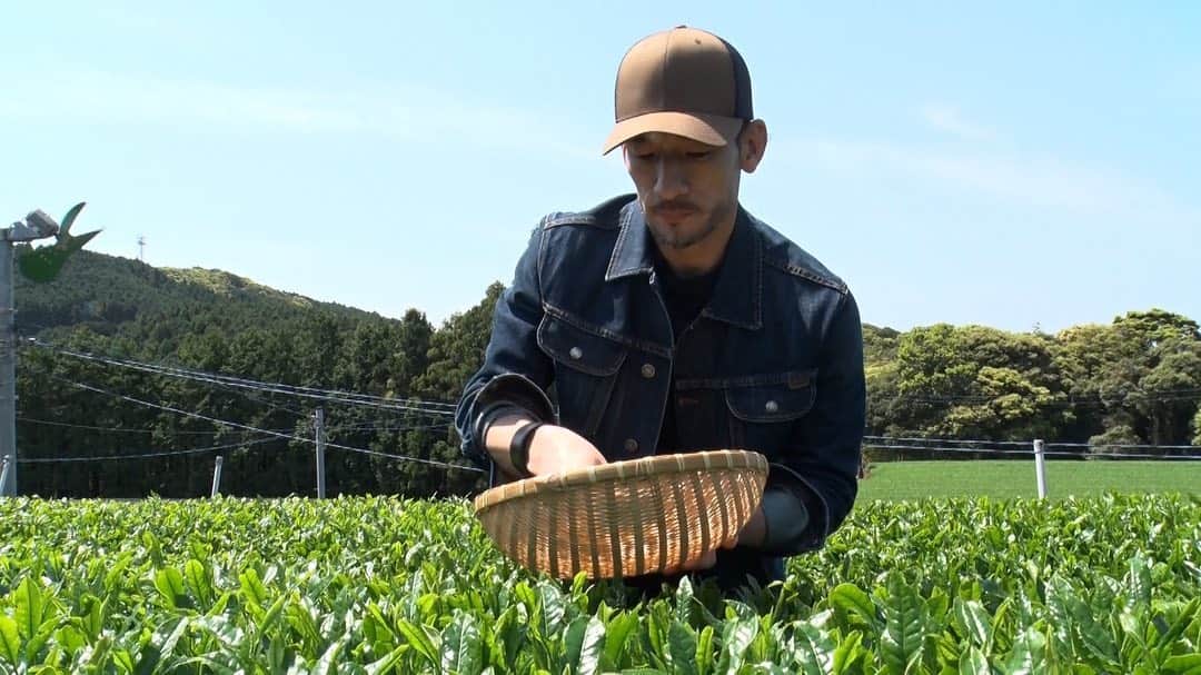 中田英寿のインスタグラム：「関西テレビ「土曜はナニする！？」にて、「にほんもの学校」の第2回目が6月4日(土)に放送いたします。  日本が誇る「にほん」の「ほんもの」を求め、新茶の収穫シーズンを迎えた長崎県東彼杵町のお茶農家に訪問します。  カンテレ／フジテレビ系全国ネット 午前8:30～9:55  #土曜はナニする #にほんもの学校 #にほんもの #nihonmono #長崎県 #中田英寿 #hidetoshinakata」