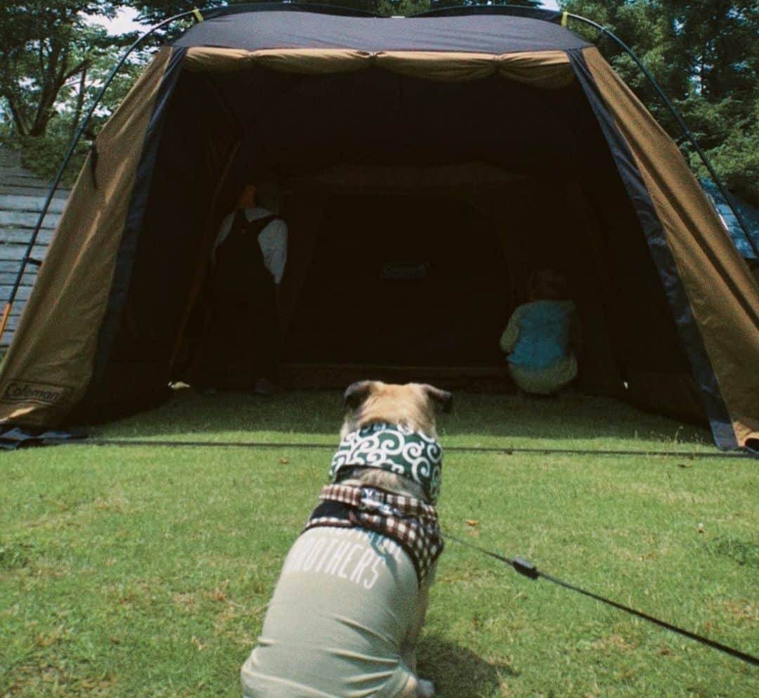 山口トンボさんのインスタグラム写真 - (山口トンボInstagram)「テント設営の練習を兼ねてサクッとデイキャンプ🏕またまた猪野さんにお世話になりました！本当に優しくて素敵なお方です！ハピキャンの丹羽さんも来てくれて最高の1日になりました😆🏕」6月3日 19時12分 - yamaguchitombo07