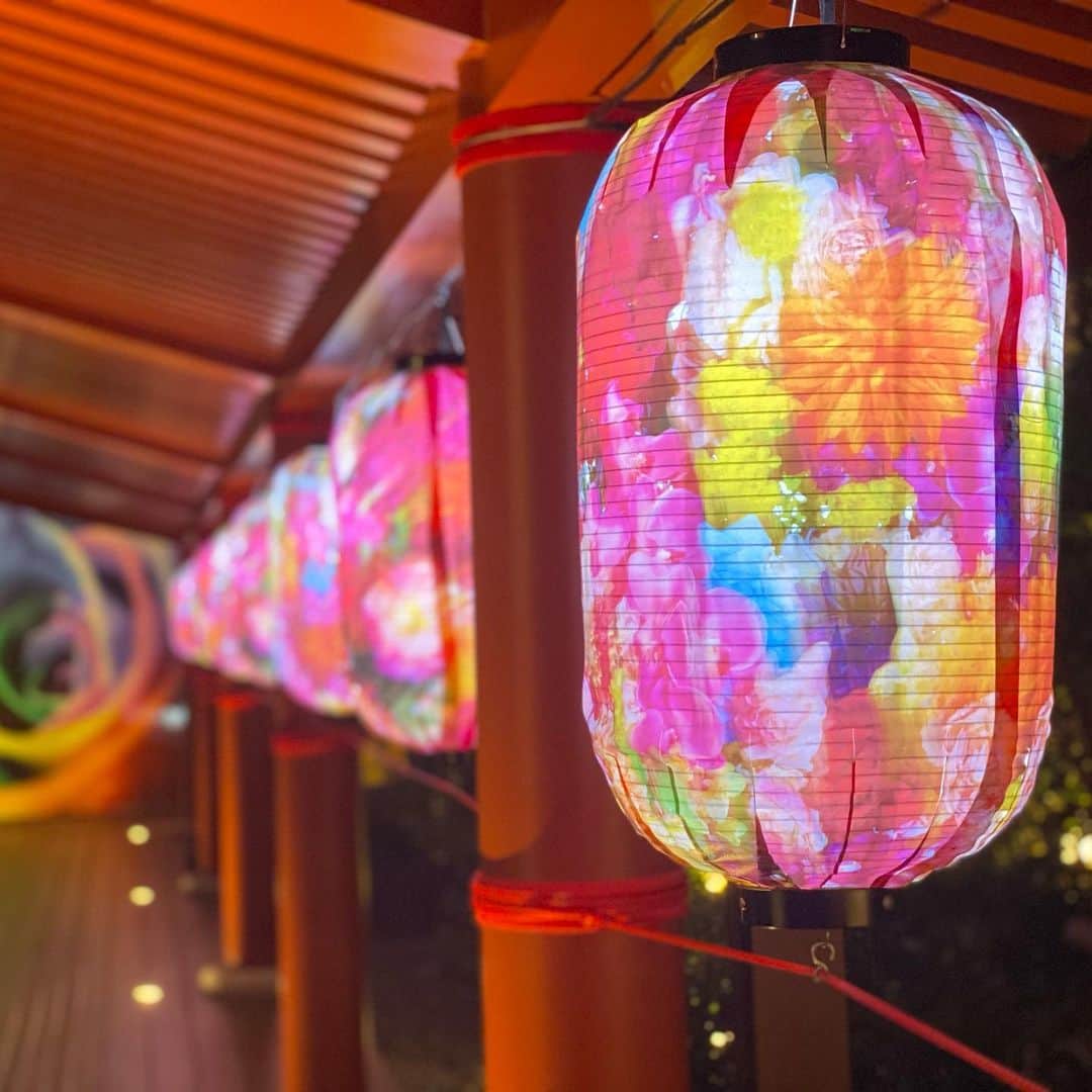 澤野井香里のグルメインスタ