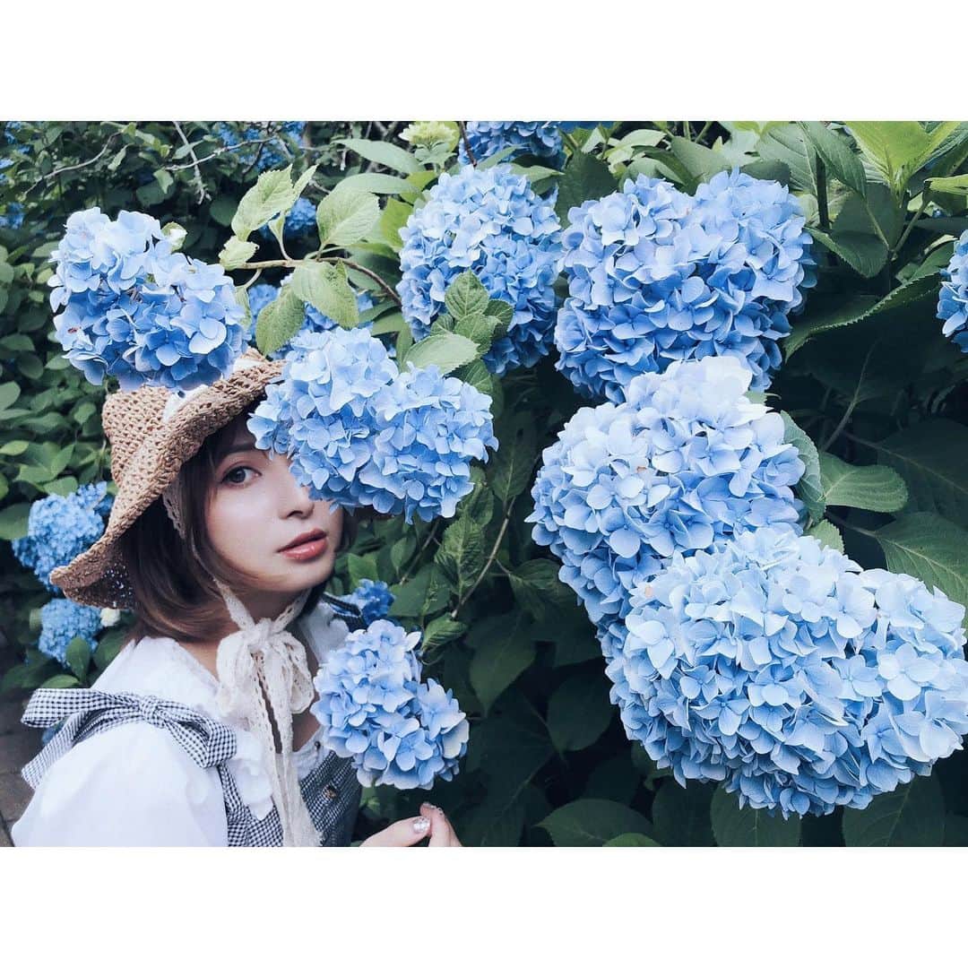 稲森寿世のインスタグラム：「こんにちは、6月🌼 金髪ボブ時代の #過去pic です📸    さいきんすっかり落ち着いて 派手髪にしてないけど写真見てると ハイトーンにしたくなっちゃう🎀💕🌷☁    暗森とハイトーン森、どっちがすき？🫣🪞🩰  #鎌倉 #あじさい #あじさい寺 #明月院ブルー #season_girls_collection」