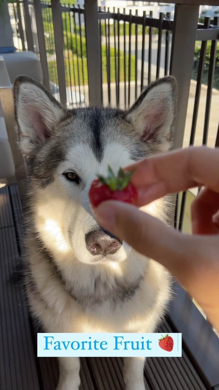 Mikkaのインスタグラム