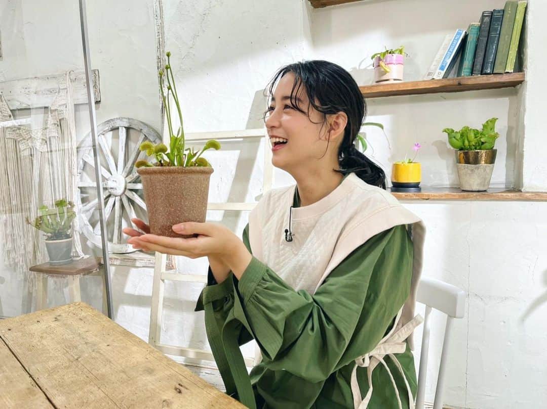 山本美月さんのインスタグラム写真 - (山本美月Instagram)「食虫植物がテーマで、楽しかった時です。   #趣味の園芸」6月4日 19時56分 - mizuki_yamamoto_official
