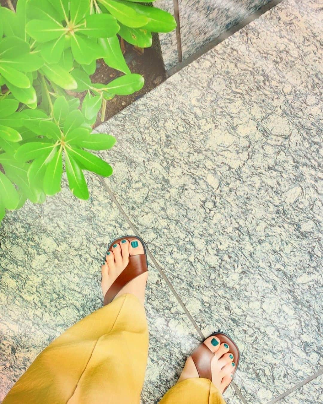 伊瀬茉莉也のインスタグラム：「🌴  一年の中で一番好きな季節が今かもしれない…🚲🌴🌞 ハンモックでお昼寝したくなっちゃう… そんな気持ちの良い気候ですね🌿  ディズニー+で配信スタートされました！ 『ハリウッド・スターガール』 前作に引き続き、 スターガール役(グレース・ヴァンダーウォール吹替)を 担当させて頂きました！  透き通る天使の歌声のグレースちゃんの才能が 今作も弾けてました🫧 今回は…恋も？！♡  ディズニーが送る実写映画🎥 癒されたい方、夢を持って頑張ってる方に刺さるのかなぁ… ぜひたくさんの方に観て頂きたい…です！！☺️🫶」