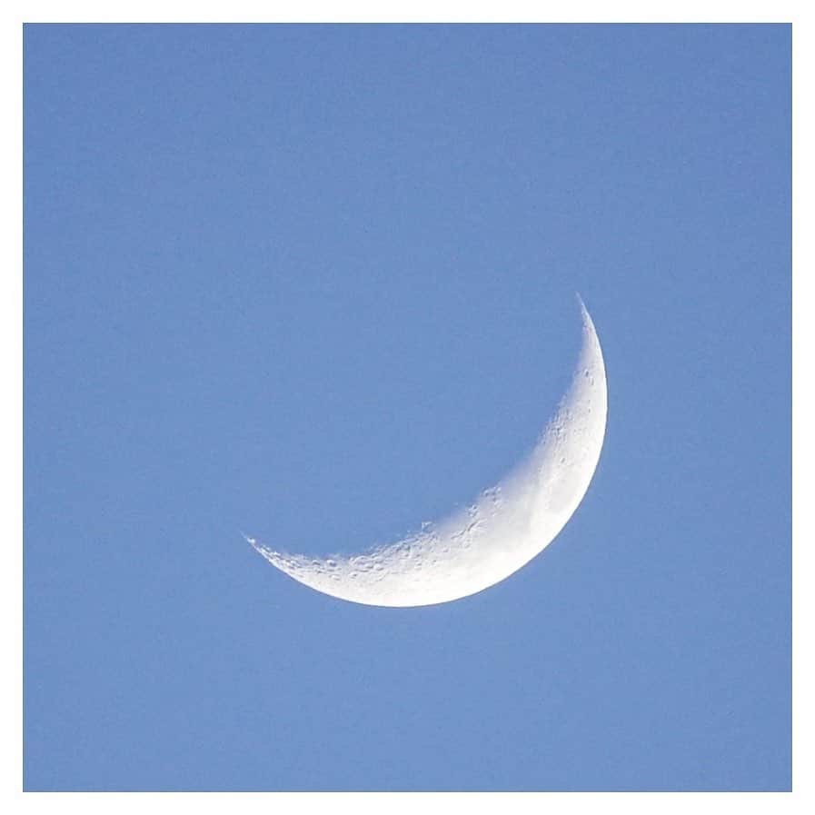 さだまさしさんのインスタグラム写真 - (さだまさしInstagram)「今宵の月🌙 おぐらひろかずの絵のような素晴らしい月が👀 . #月 #おぐらひろかず #さだまさし #sadamasashi」6月4日 22時46分 - sada_masashi