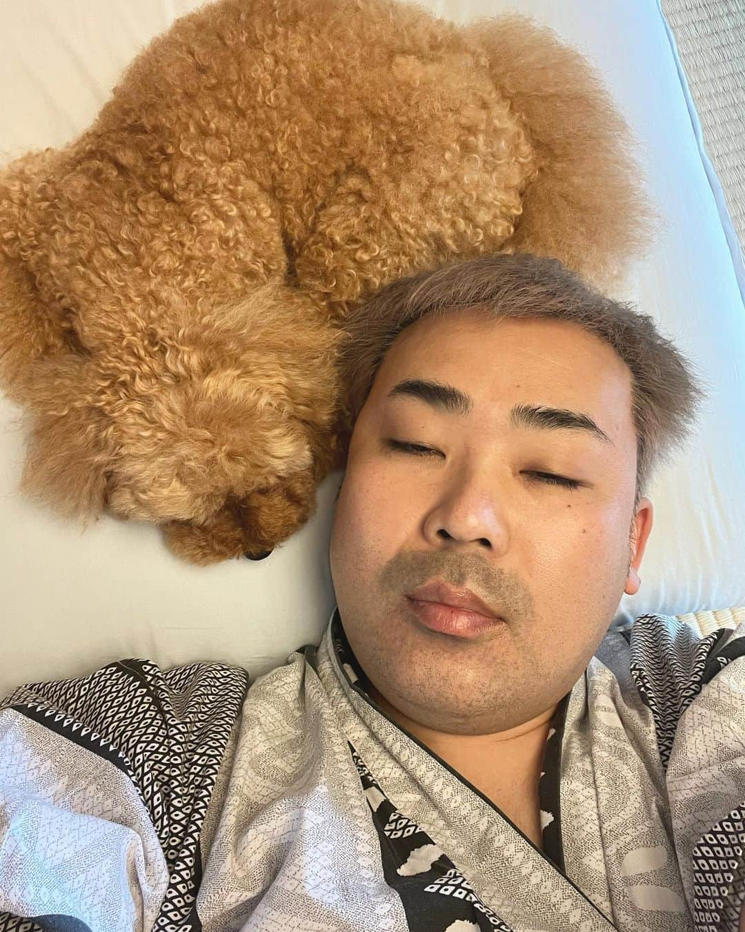 岩尾望さんのインスタグラム写真 - (岩尾望Instagram)「座布団の上から動かないつくし。」6月5日 10時20分 - iwaotsukushi