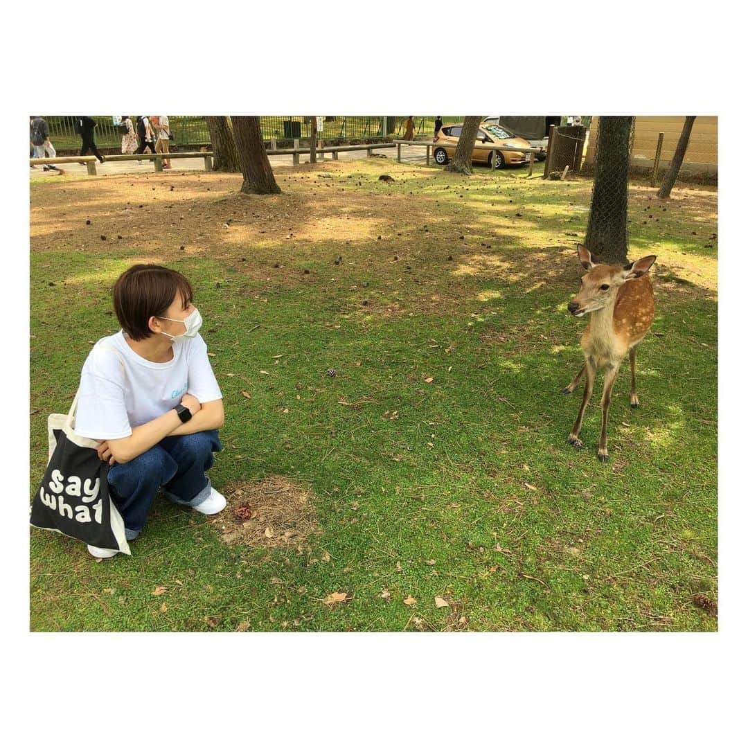 桃果のインスタグラム：「鹿さんとの距離が縮まった。。🫢💌🫰」