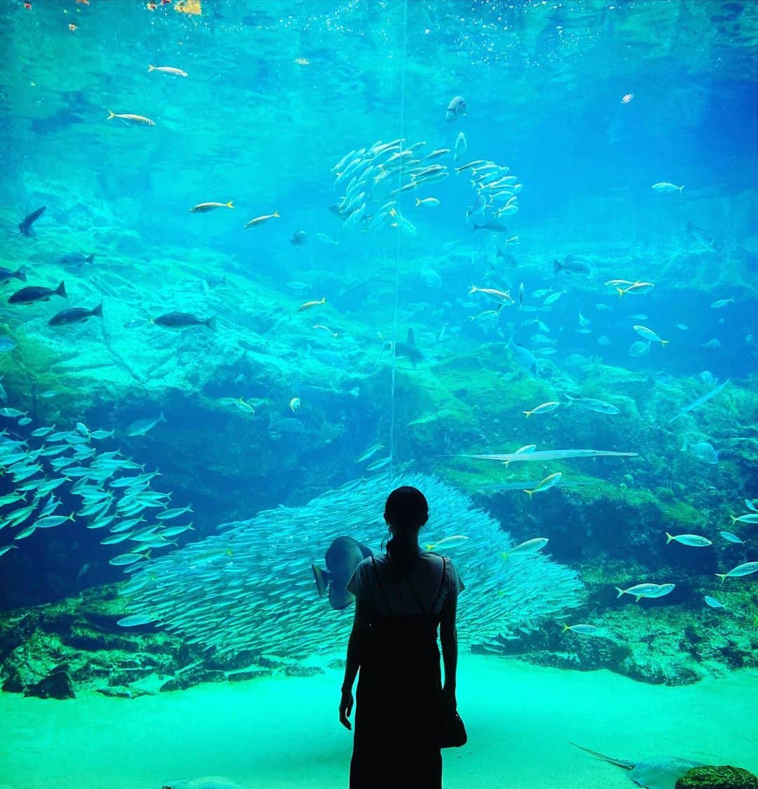 永島聖羅のインスタグラム：「🐟  あと少しで長崎ロケの事 解禁できるはず…💓  前マネージャーさんが沢山 ロケ写真を撮ってくれたから 小出しにして行くね✨  今日もお疲れ様でした！  #長崎 #佐世保  #九十九島水族館海きらら」