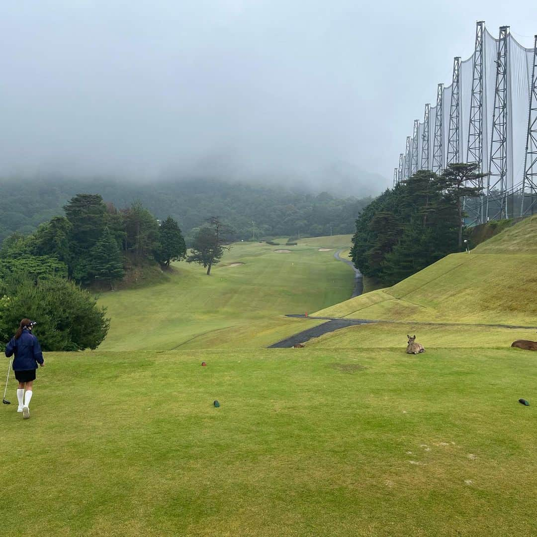 あみおかさんのインスタグラム写真 - (あみおかInstagram)「皆さんこんにちは🌿🕊 雨の日は眉毛しかメイクしない あみおかでーす👶🏻💭  この間広島の #広島安佐ゴルフクラブ に 行ってきました🚗³₃  ブラインドホール多くて ティーショット打つのが 不安になるゴルフ場だったけど めっちゃ楽しかった💚💛  雨やし午後スルーだから 前も後ろもいなくて 調子よくまわってたから 100切りいけるかも😏⁉️ とか思ったら後半の後半 トイレ行きたくなって、、、笑  そう甘くありませんでした🥹☝🏼  でもパターは褒めてあげたい。笑 また行きたいなー🌿  #雨ゴルフ #レインコート #ゴルフ #広島ゴルフ #ゴルフ女子 #女子ゴルファー #ゴルフウェア #ゴルフコーデ  #ゴルフヘア」6月5日 14時05分 - amioka_golf