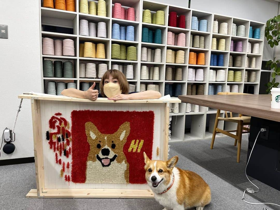 IMALUさんのインスタグラム写真 - (IMALUInstagram)「バルーのラグを作りました🐶  絵はバルーグッツ用に友人の @nobuo_yamaguchi1982 が描いてくれたやつ🎨  @soratobu_rug さんありがとうございました〜！完成品届いたらリールあげよ🫶   #ソラトブ #タフティング」6月5日 18時23分 - imalu_0919