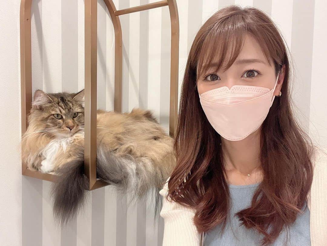 佐々木もよこのインスタグラム