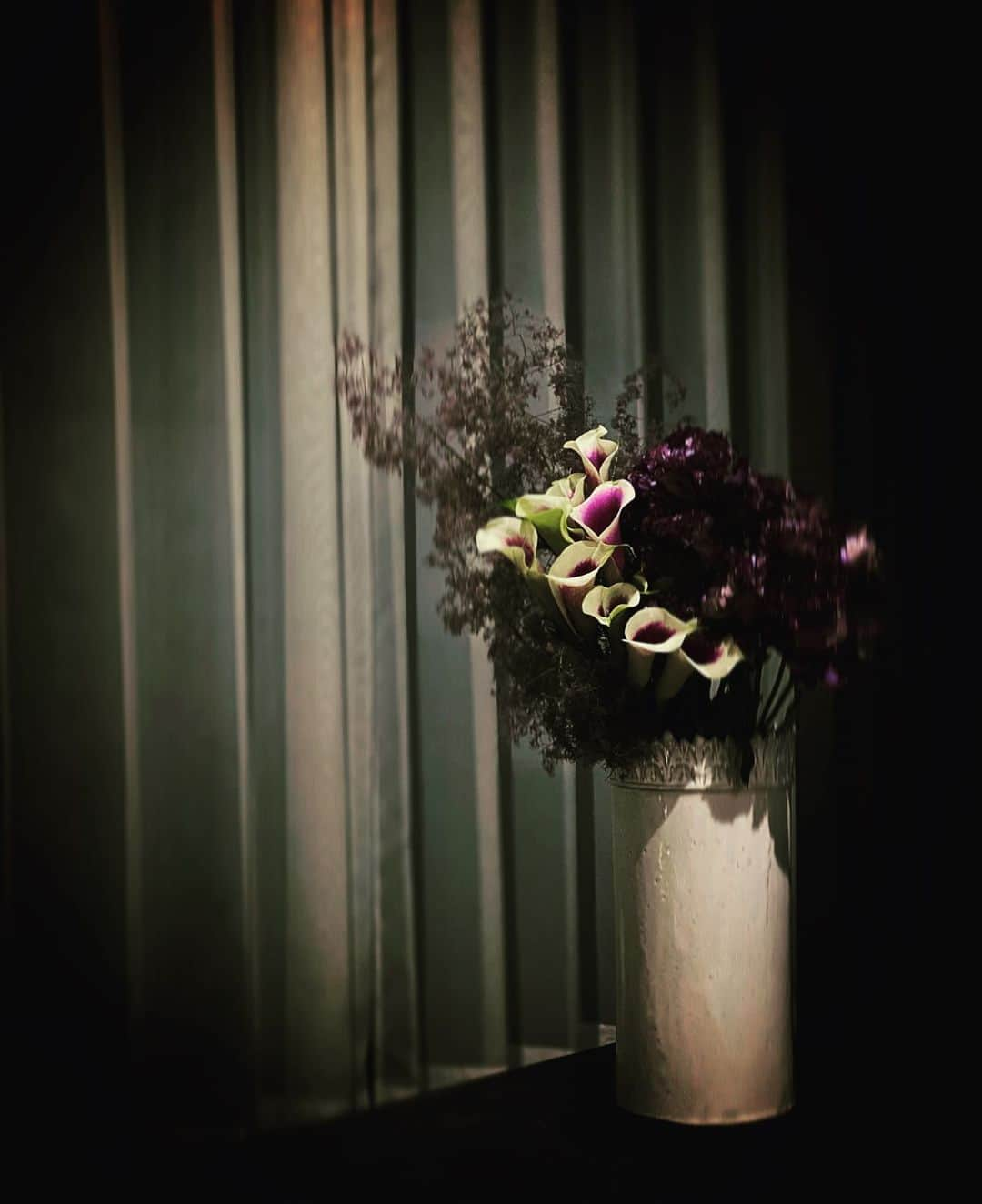 平宮博重さんのインスタグラム写真 - (平宮博重Instagram)「ドラマのないゆっくりした時間。。  #chill #flowerstagram #lifestyle #myroom #ライフスタイル #lineライブ #花のある暮らし #カラー(ピカソ) #トルコ桔梗  #スモークツリー」6月6日 0時55分 - hiroshige_narimiya