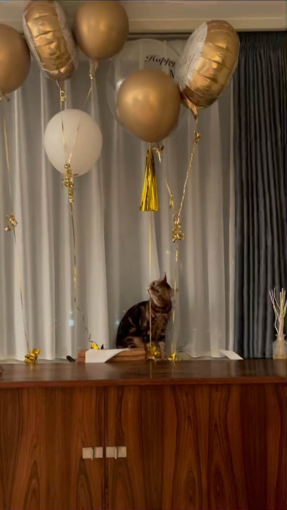 三浦瑠麗のインスタグラム