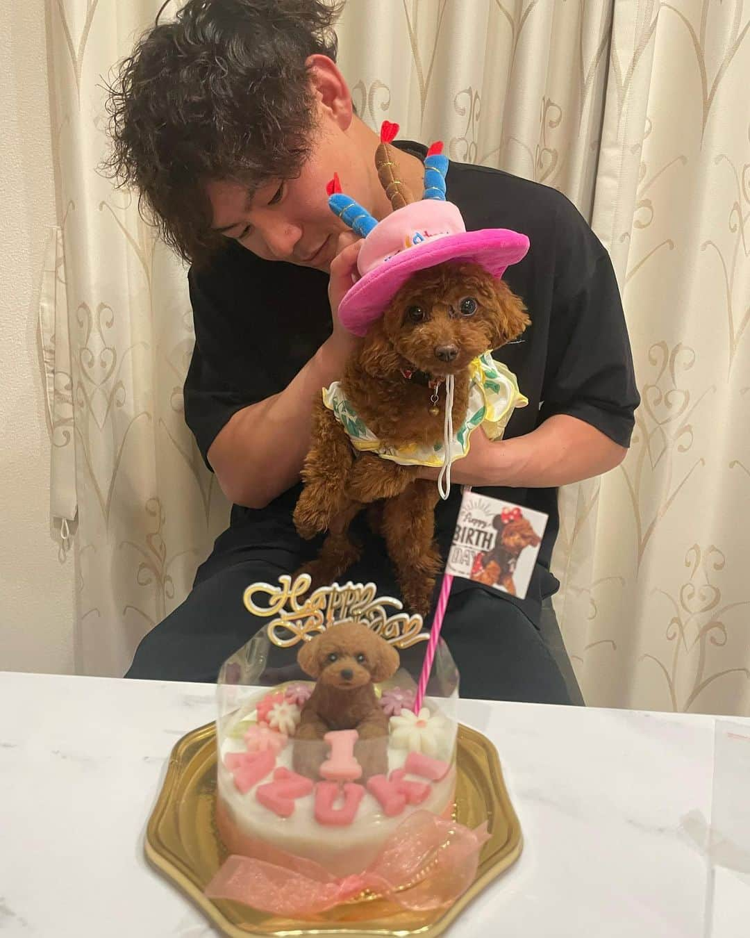 牧原大成のインスタグラム：「あず一歳の誕生日おめでとう🎂🎉  これからも 元気に育ってください👼👼  おこげあずきのためにも明日からまた頑張ります🫡🫡」