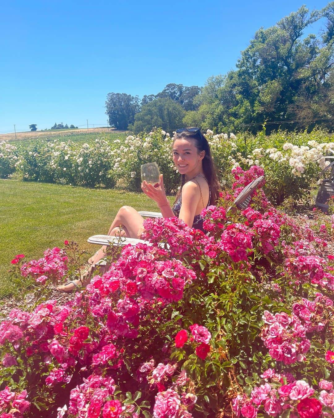 澄那シュトゥーダーのインスタグラム：「Brb, sunbathing amongst rosebushes on my California escape 🌹  Thank you @mckmuewinery for hosting us! Had a blast while tasting some precious drops of your female-lead, family-owned winery 🤗  Thank you @kenjameskubota for the 📸 and memories!」