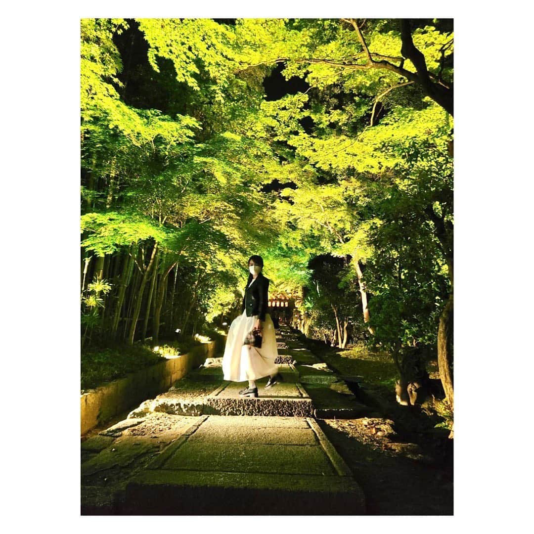 長野美郷さんのインスタグラム写真 - (長野美郷Instagram)「新緑の#京都 久しぶりに行けました！  ライトアップしてた#高台寺 😊  桜もいいけど新緑も最高です😇🌸🌱  大好きなライダースを 着られる季節が嬉しい！ 短いけど。  そう言ってる間に関東梅雨入りですね🐌 #雨の季節 も ぼちぼち楽しくいきましょう😊⛱🌈  #旅行に行けるありがたみ をかみしめているこの頃です #旅好き　#新緑 #梅雨 かぁ　#🐌」6月7日 3時56分 - misato_nagano_1127