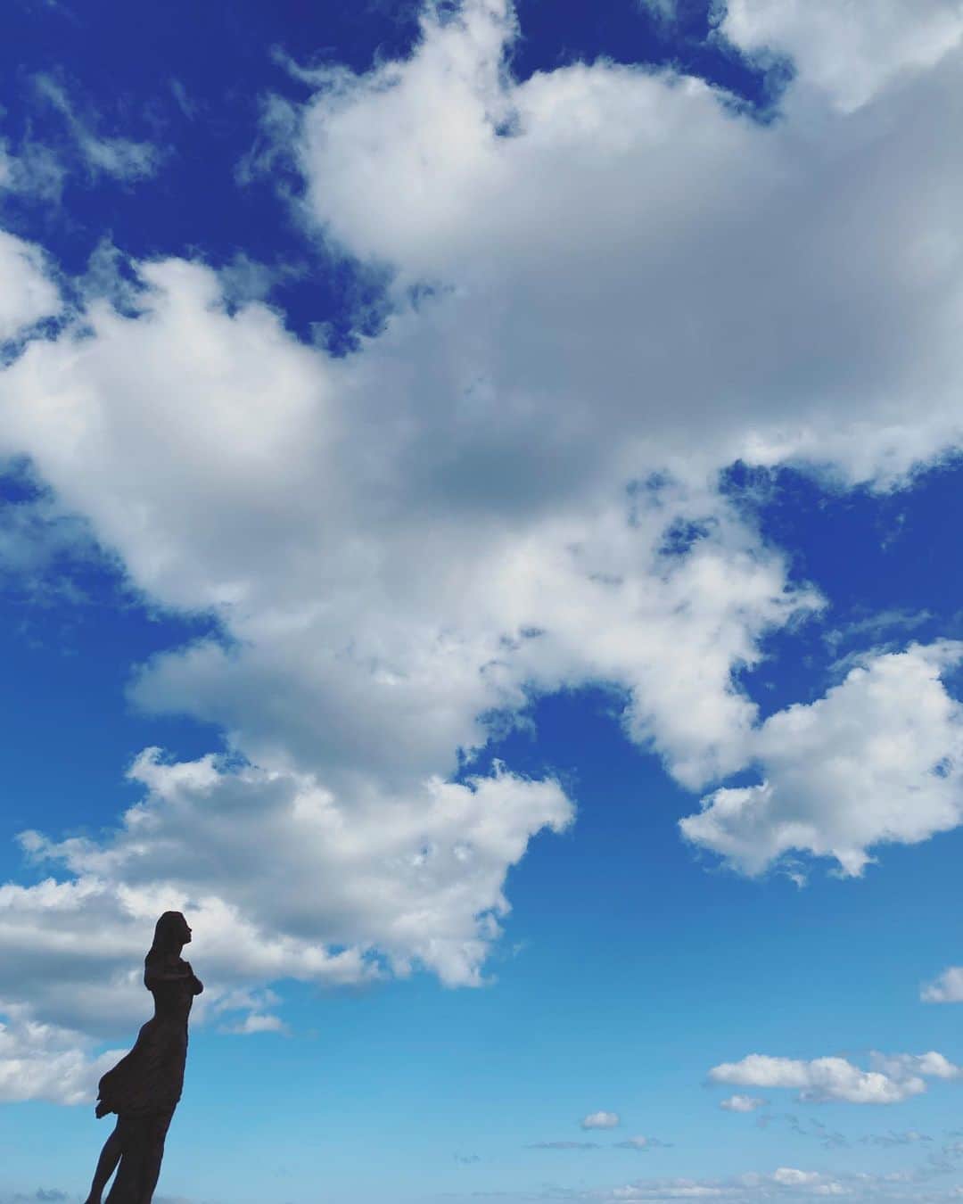徳永有美さんのインスタグラム写真 - (徳永有美Instagram)「おはようございます🙂 外は雨もやんで鳥も鳴いて青空だけど この先また雨が降るのかな。 すこしでも良き一日になりますように。」6月7日 5時16分 - yumi_tokunaga.official