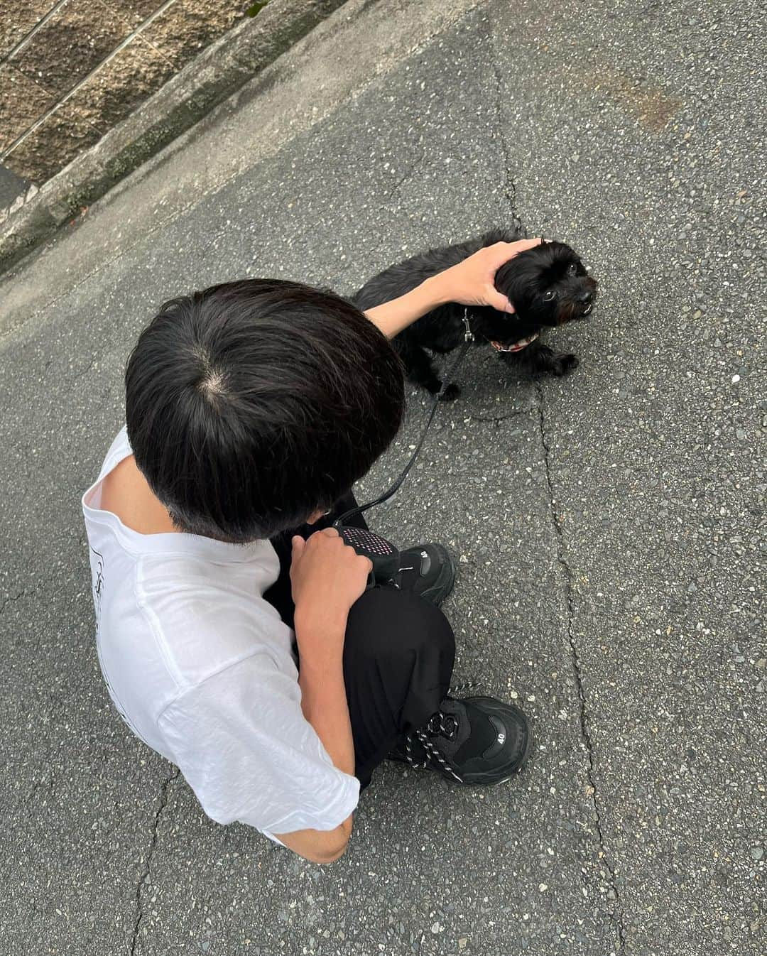 ヤマグチトワさんのインスタグラム写真 - (ヤマグチトワInstagram)「犬の散歩🐕可愛いだろ？」6月7日 18時15分 - towa_guchi