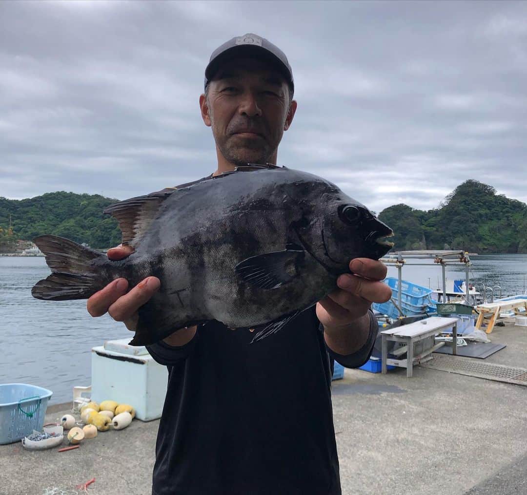 和田 一浩さんのインスタグラム写真 - (和田 一浩Instagram)「先日久しぶりに西伊豆の田子に底物釣りに行って来ました。イシガキダイやカンダイが釣れ本命の石鯛が釣れました。厳しい釣りでしたが一枚釣れて大満足。 #西伊豆　#釣り　#Daiwa #福由丸　#石鯛　#和田一浩」6月7日 11時43分 - wadakazuhiro