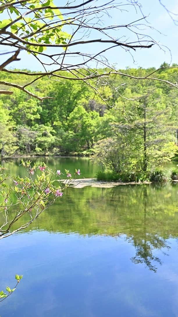 japanese forest & web designer　kapiosanのインスタグラム：「The usual work. I can take pictures and video at the same time📷🎥  📷普段のお仕事の様子です。 今回は神奈川県厚木市のパルスポーツ様の社外研修です。 お子さんに運動を指導する先生の社外研修なのでアスリートの体力。 ノンストップ登山(標高2000M）すごいです！ご依頼ありがとうございました💖 https://www.pal-sc.co.jp/  写真と動画を撮りながら普段こんなことをしています。 次の出張先は宮城で～す！🗾  #動画撮影 #動画クリエイター #写真撮影 #仕事 #働く #nikon #ニコン #ニコン党 #出張撮影 #出張撮影カメラマン」