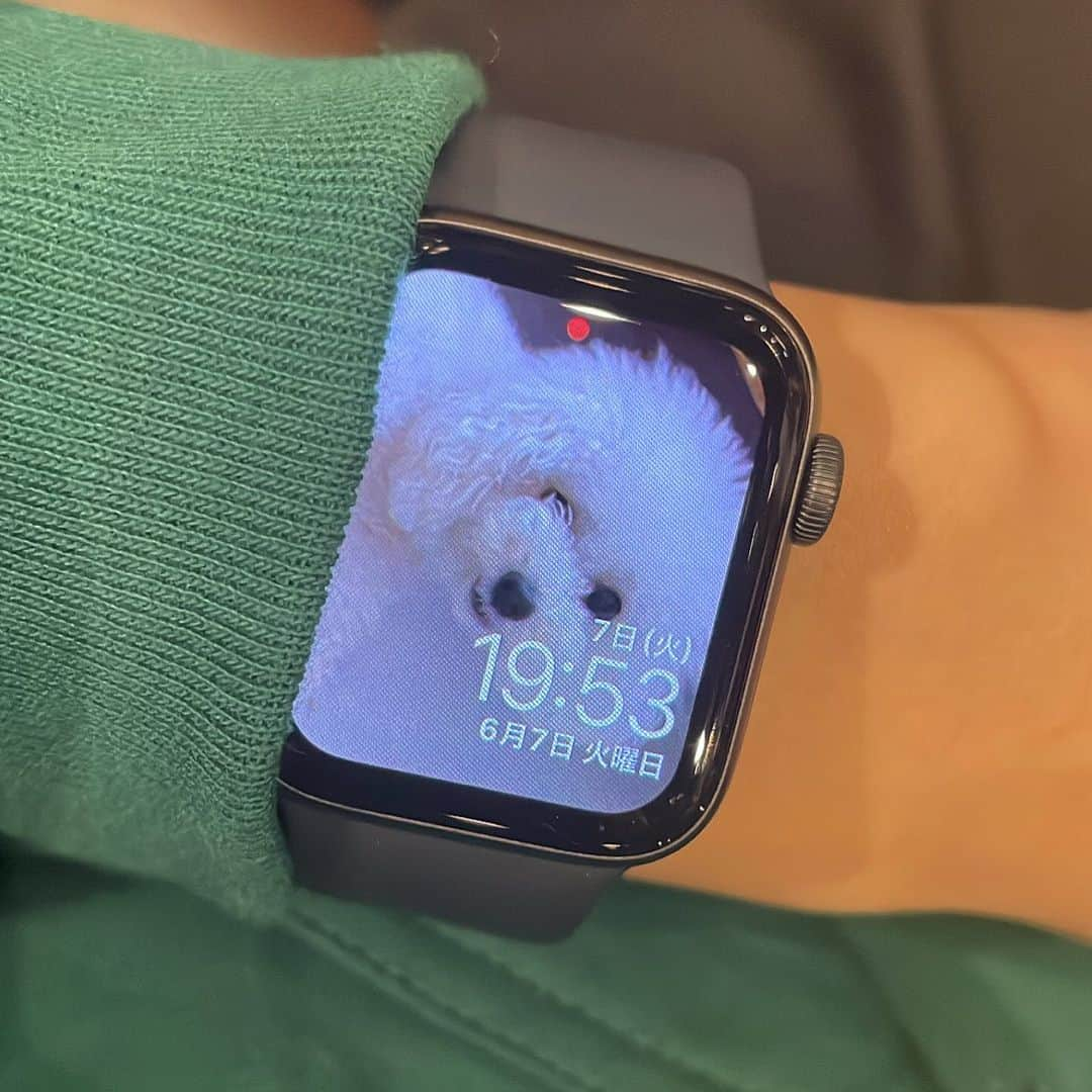 坂東希のインスタグラム：「#ねこ #ニヒル #最近applewatchデビュー #日付2個表示されてた笑」