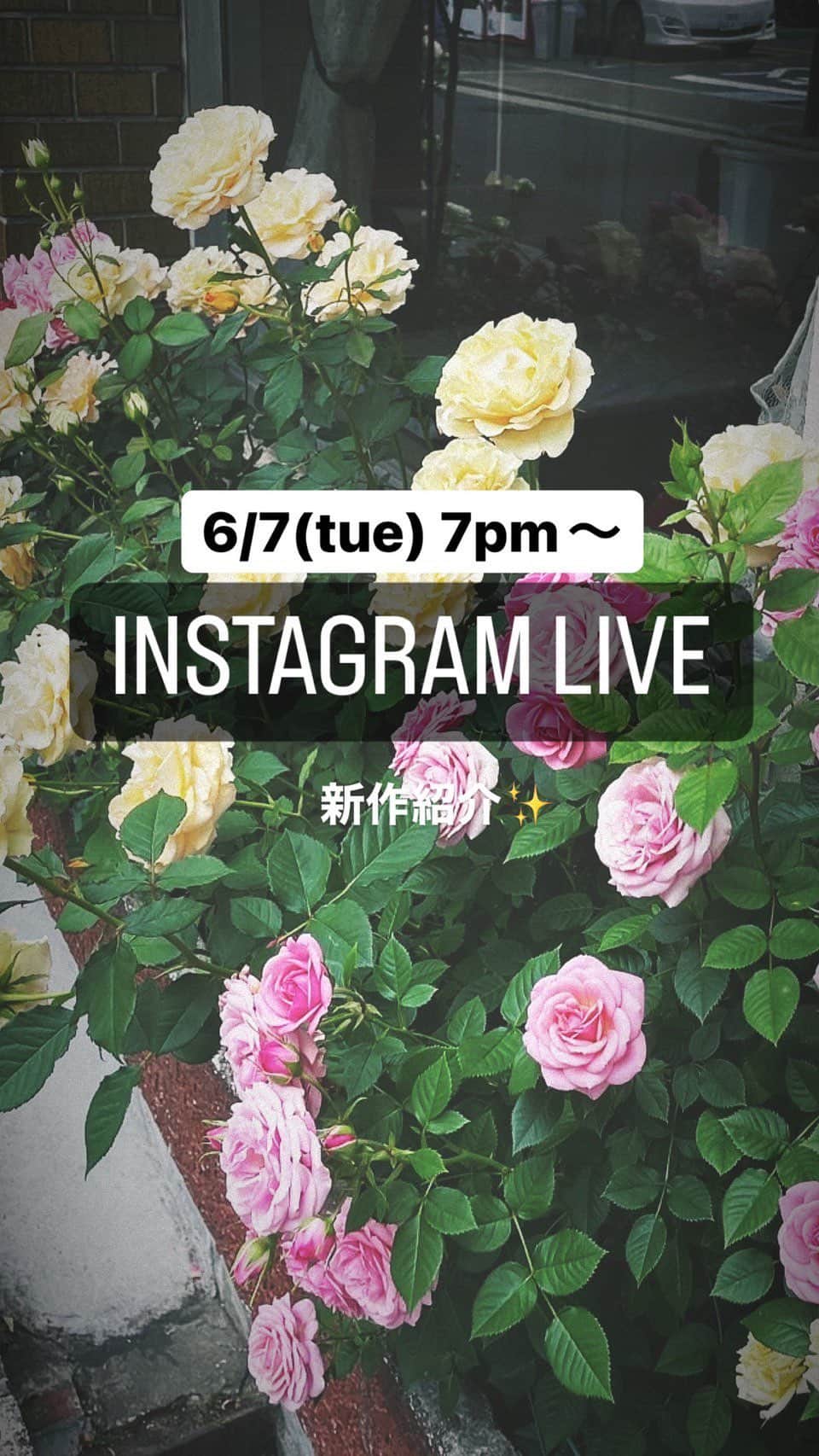 FIG&VIPERのインスタグラム：「夏の新作紹介✨」