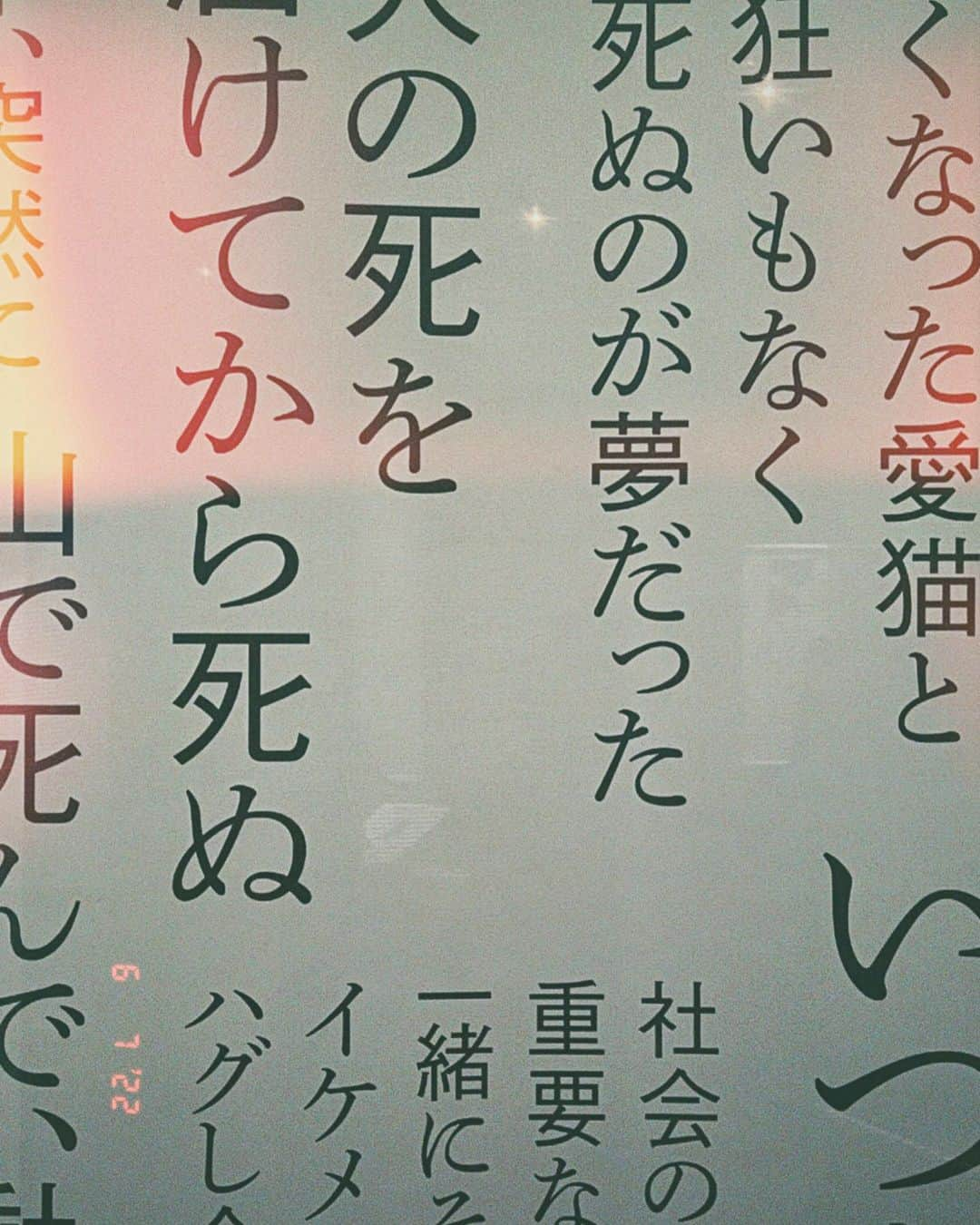 山本真由美さんのインスタグラム写真 - (山本真由美Instagram)「. . 『END展　死から問うあなたの人生の物語』へ。 死を意識すればするほど、生。  行き着くところ わたしはあなたであなたはわたし、だ。  あなたを、灰を、 ぺろっと、舐める、取り込む。  自然の一部、誰かの一部になれたら本望。  見ず知らずの、“...だけどのうのうとこうして息をしている。”という言葉だったり、タイプされる　#10分遺言 書いては消す逡巡含めて誰かも知らないはずのその人たちの言葉に。  小さく頷いたりこっそり泣いたり。 誰かと話したくなるよい展示　だったなぁ。 （明日までだよ〜）  花束抱えて、帰路。 紫陽花と芍薬ぅ。  梅雨来たり〜☂💠🤍ね。  #end展 #tokyo #futakotamagawa  #他人との境界線なんて本当はないのかもしれない。 #宇宙　#ウチュウ #nature #end #life  #死生観 #manga #漫画 #コジコジ  #🌎🕊🥣𓆹𓆟𓋪°・❤︎❤︎❤︎ #rain #day  #紫陽花　#芍薬　#bouquet #jeans #birth #death  ／／／／／／／／／／／／／／／／／／　　 . . . . . . . .  💀🌹❤️🚣‍♀️______________________🕯」6月7日 22時41分 - mayumi_yamamoto.official