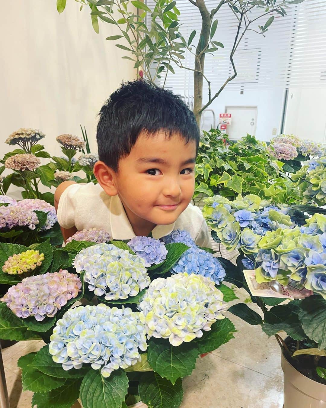 知念芽衣のインスタグラム：「#梅雨　☔️🐌 #紫陽花  #2歳8ヶ月  今日、散歩中、クンクンしたい❗️ と言って、道中色々嗅ぎまくってた息子。 犬のお姉さんから習った模様。😂」