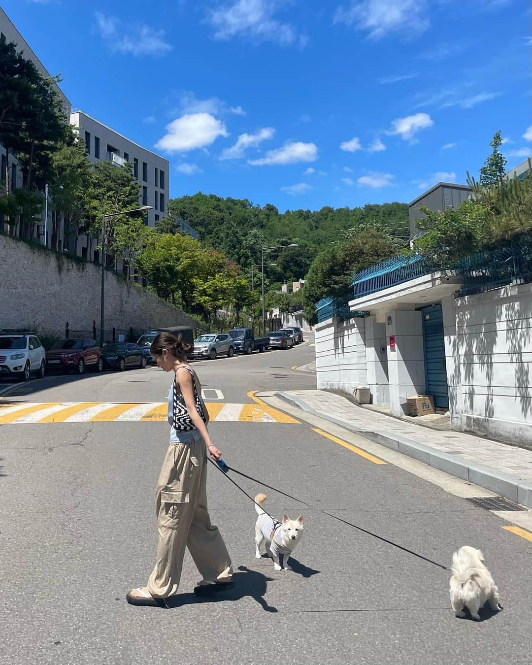 パク・ソラのインスタグラム：「🐶☁️💙」