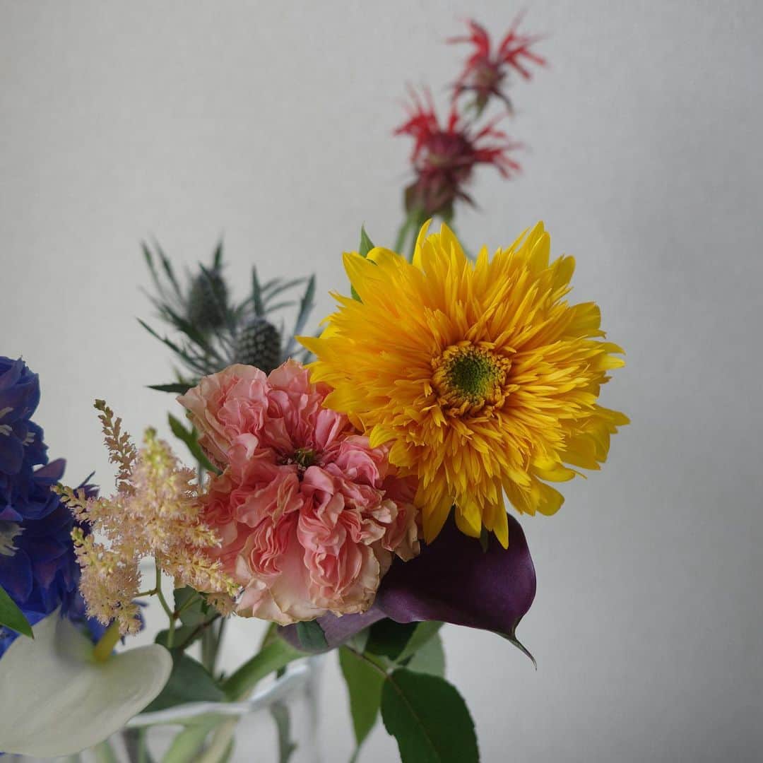 高垣麗子さんのインスタグラム写真 - (高垣麗子Instagram)「* おはようございます  リビングがいつもよりも暗いから 鮮やかな色を選んだよ  紫陽花も梅雨時期らしくて素敵だけど 今の気分は色々MIX💐  * #flower」6月8日 8時57分 - reikotakagaki