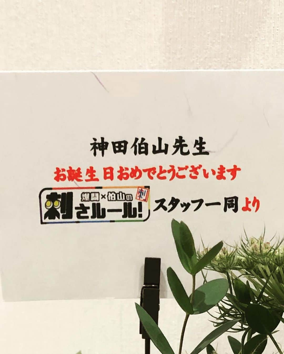 神田伯山さんのインスタグラム写真 - (神田伯山Instagram)「・ テレビ朝日『刺さルール』スタッフさんから誕生日のお花をいただきました！ ありがとうございます！！ ・ #神田伯山 #6月4日生まれ #お誕生日 #テレビ朝日 #刺さルール」6月8日 11時33分 - matsunojo_hakuzan6