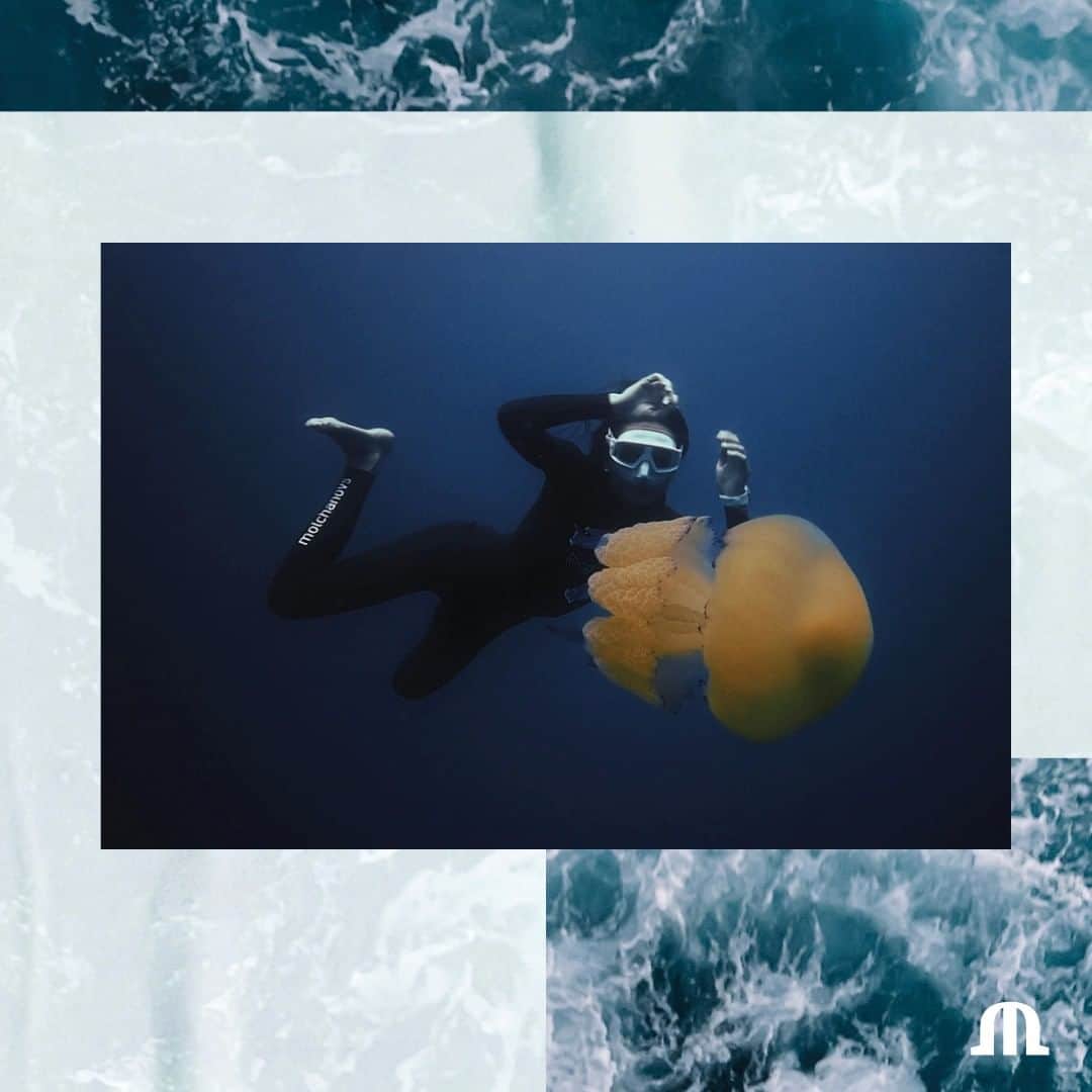 のインスタグラム：「Discover the message of our #MLCrew Member and World Champion Free Diver @lidija_lijic_ on the importance of oceans! #WorldOceanDay  #YourTimeIsNow」