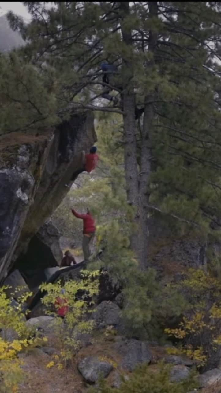 メリッサ・ル・ネーヴェのインスタグラム：「If you ever wondered about climbing in the #himalayas. Last autumn, we went in this magical place with @berndzangerl and @giuliano_cameroni to keep developing the place and helping the local’s association. The amount of granit’s boulders is huge and the place is still so wild and beautiful ⛰🍁. If you ever think about traveling there, prepare yourself to be curious, respectful and ready to brush boulders ! Contact the locals association for more infos (the link son released on the @fiveten_official Channel)  Check out the film 🎥 🎞 @raydemski did about the place (link in story)   @adidasterrex @team_edelrid @arkose.climbing @deuter  #climbing #climb #klettern #grimper #escalar #escalade #travelindia #himalaya #rakchham」