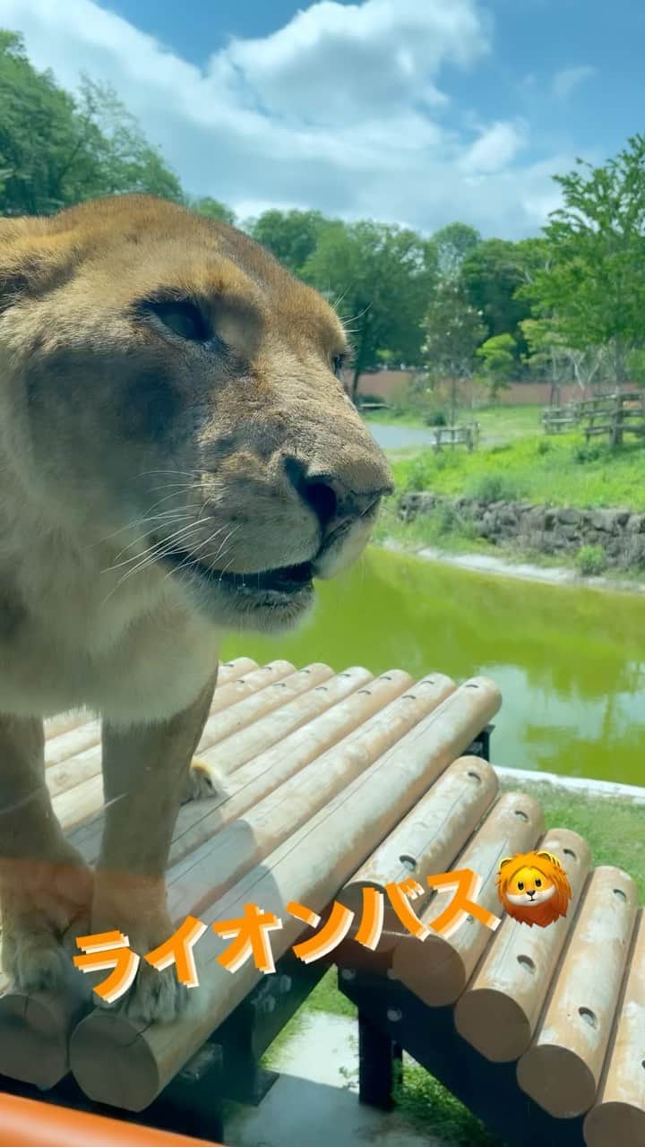 逢月あかりのグルメインスタ