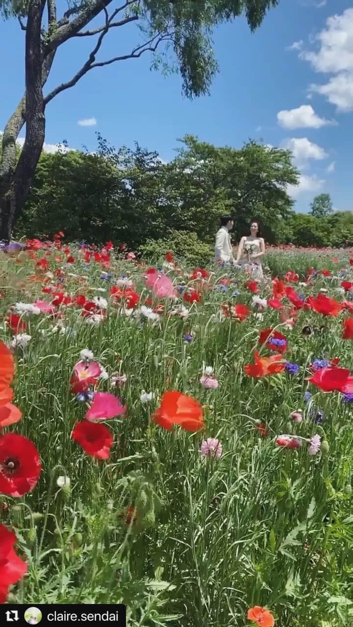 CLAIREのインスタグラム：「#Repost @claire.sendai with @make_repost ・・・ 青空とたくさんの花に囲まれて。  撮影風景をリールにまとめました🌿 ぜひCHECKしてください🕊  inみちのく杜の湖畔公園」