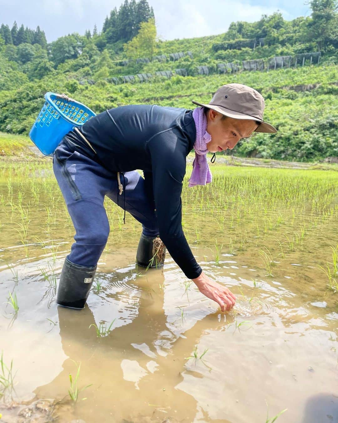 服部勇馬のインスタグラム：「植え直しをやってきました！！ 十数年ぶりに田んぼに入っての作業。 米づくりのほんの一部ですが、大変さを実感しました。  次回、8月に馬舞の成長を見てきます。  @kome_jintaro   #魚沼産コシヒカリ#馬舞 #十日町市 #米作り #田植え」