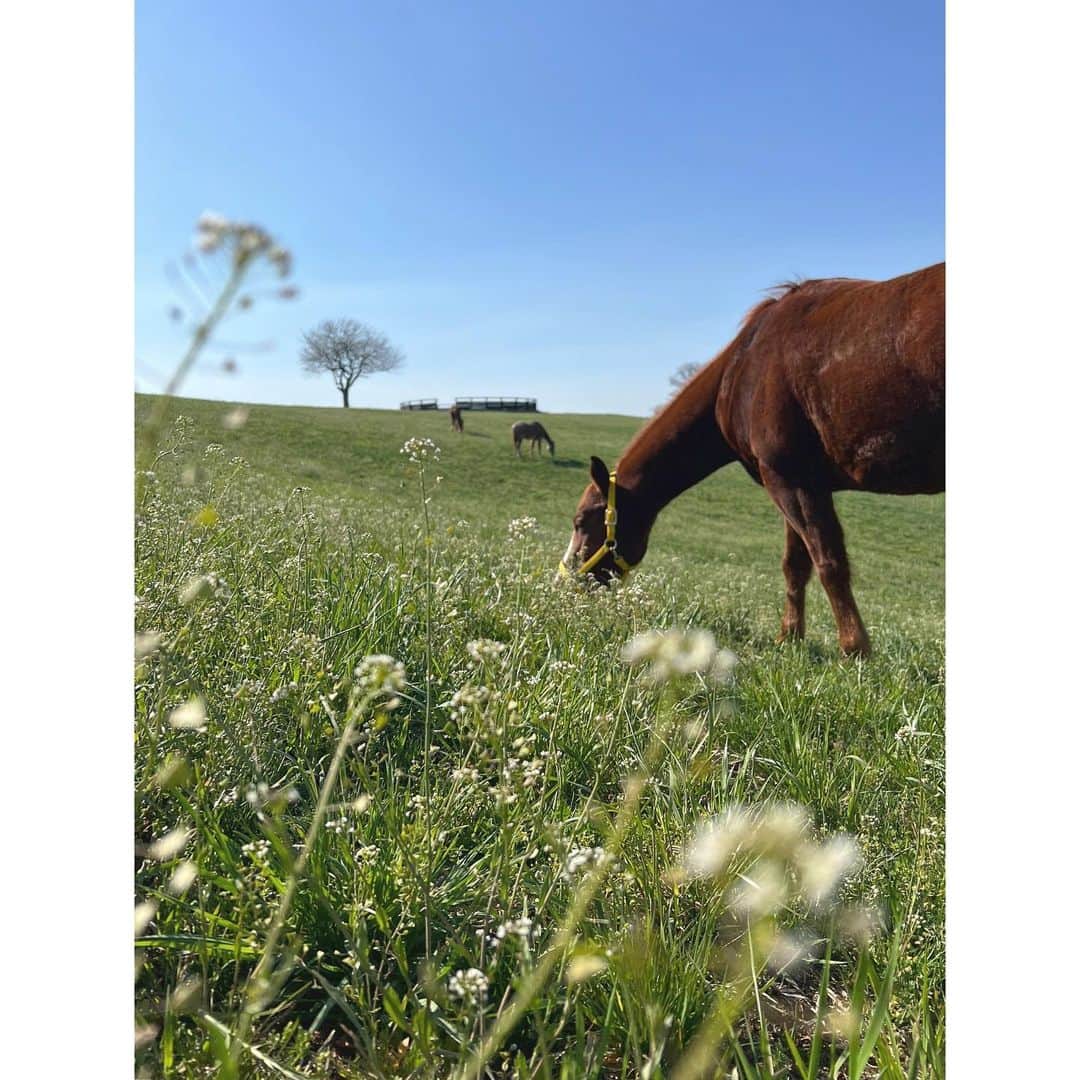 紗栄子のグルメインスタ