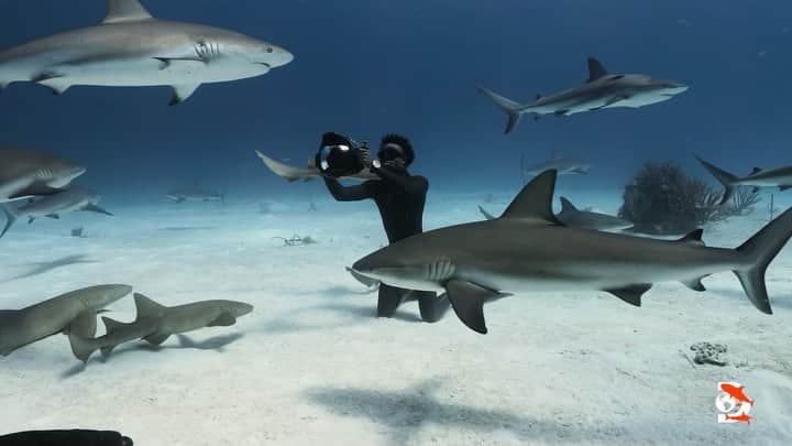 ノーティカのインスタグラム