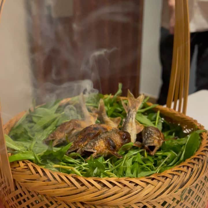 木本泉のグルメインスタ