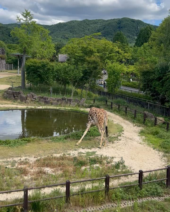 コ・アラのインスタグラム