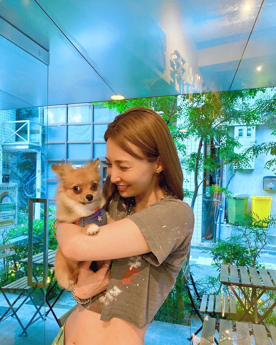 澤田友美のインスタグラム：「尊い…😍🤭⭐️ちぃちゃい　いっぬ❤️ そんなにちーさなおててでコンクリートの上あるいちゃだめだよいっぬ❤️除菌したろか🤤 . . .」