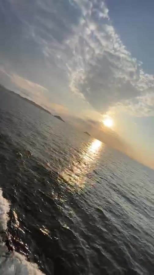 伊藤大地のインスタグラム：「夕陽の伊勢湾フェリーーーーーーーー⛴」