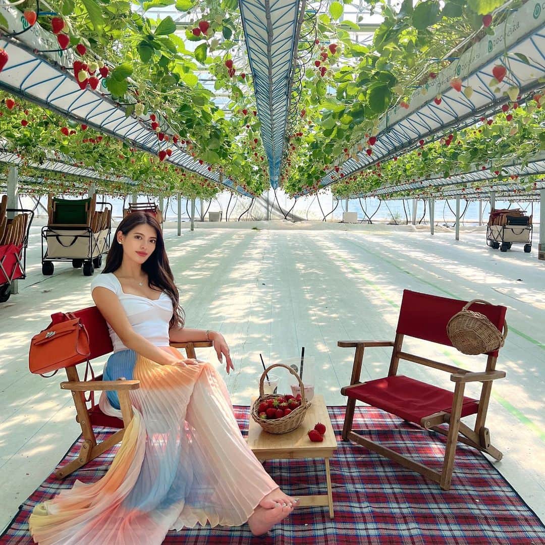 MINAMIのグルメインスタ